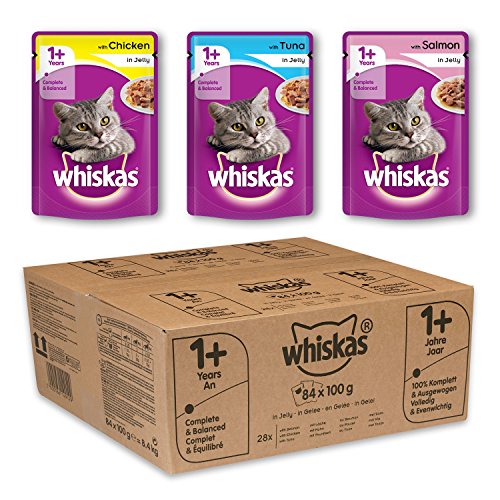 Jelly Wet Cat Food Pouch, Pack 