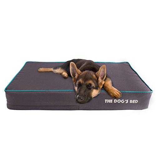 The Dog’s Bed, Premium Orthopedic Waterproof Memory Foam Dog Beds, 5
