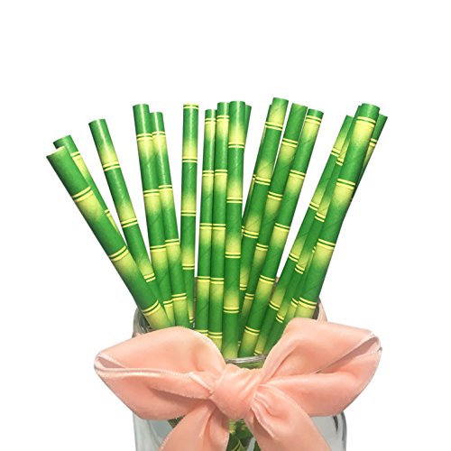 Bofa-Bamboo-Paper-Drinking-Straws-197cm100-Pack-0 Bofa Bamboo Paper Drinking Straws 19.7cm(100 Pack) - Image 1