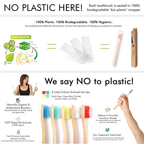 bamboogaloo toothbrush